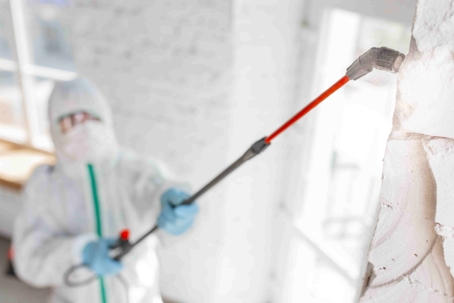professional cleaning mold in air conditioning unit