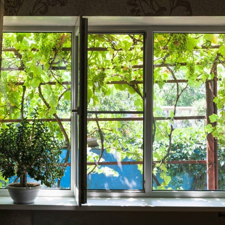 window looking overlooking garden