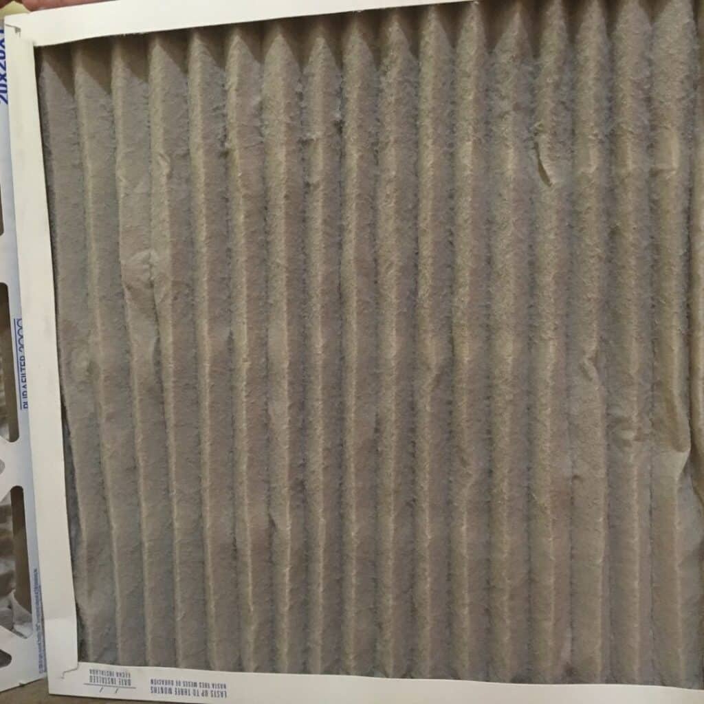 dirty air filter causing mold growth